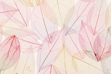 arka plan rengi değiştirmez