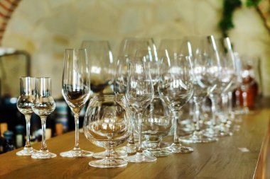 gözlük çeşitleri