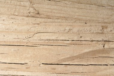 Ahşap ahşap arka plan