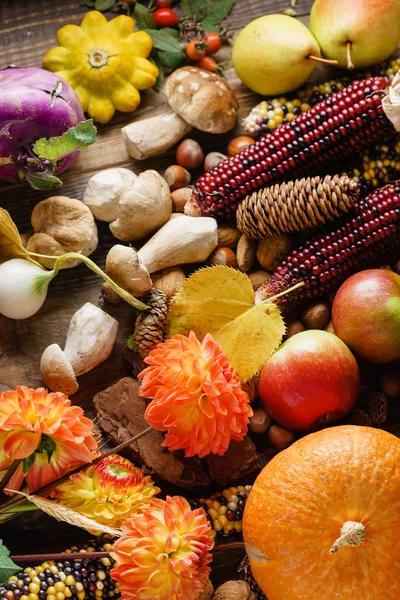 Autumn harvest, vegetables. — Stock Photo, Image