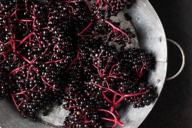 fresh elderberries on black  clipart