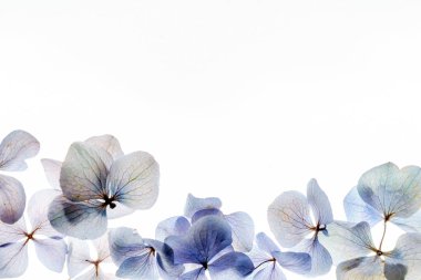 beyaz çiçek kompozisyonu