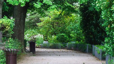 Yaz parkında bir sokak.