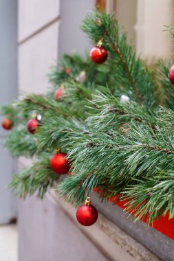 Çamın dalları ile kırmızı Noel topları