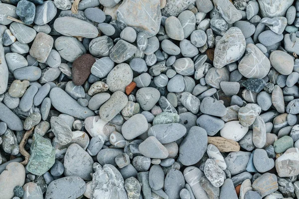 Oblázky Pláži Létě Zblízka — Stock fotografie