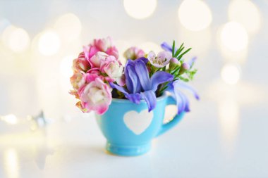 Kupası çiçekli mavi, yakın çekim