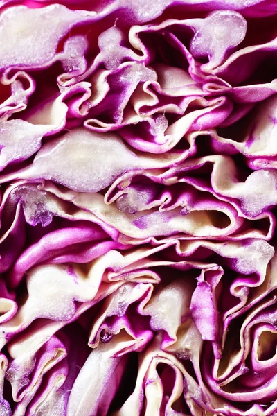 新鮮な白菜を紫 クローズ アップ — ストック写真