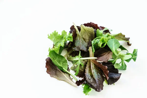 Folhas Salada Branco Close — Fotografia de Stock