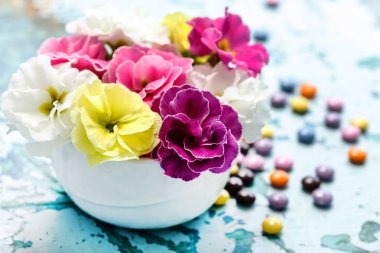 Vazoda Çiçekler Bahar, yakın çekim