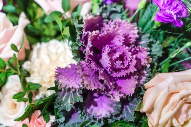 Güzel taze çiçekler yakın