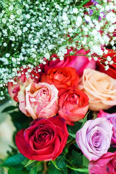 Nice Fresh Roses Close — Stock Photo, Image