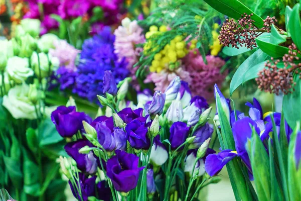 Όμορφα Φρέσκα Λουλούδια Κοντά — Φωτογραφία Αρχείου
