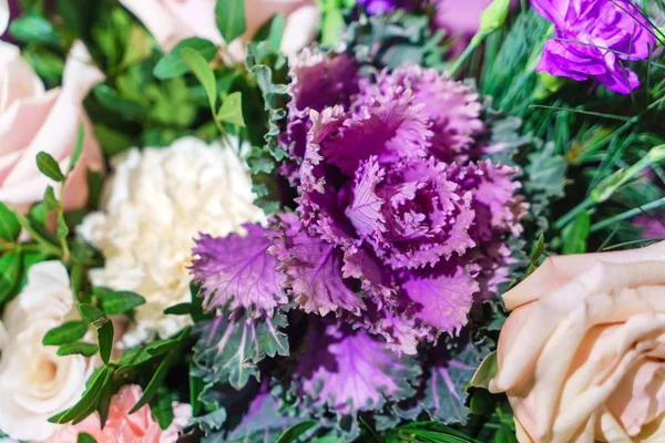 Güzel taze çiçekler yakın