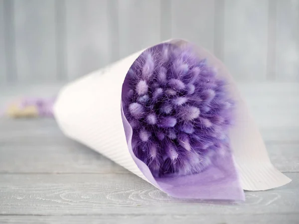 Nice Purple Flowers Close — Stock Photo, Image