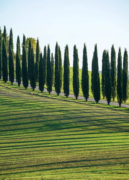 Traditionella Tuscany Landskap Natur Italien — Stockfoto