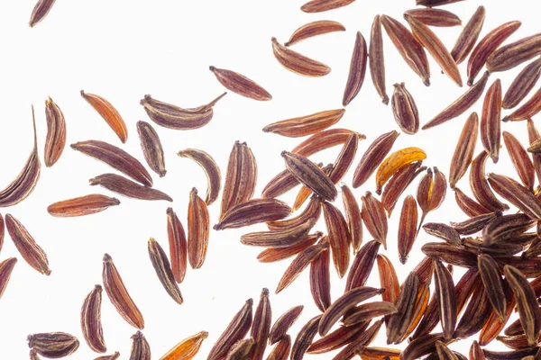 Caraway Seeds Isolated White Background — Stock Photo, Image