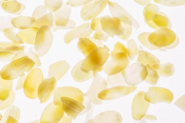 Almond Petals Close White Background — Stock Photo, Image
