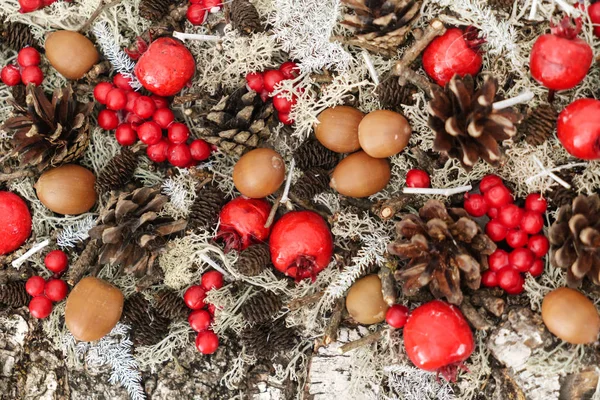 Natal Feriado Inverno Composição Florística — Fotografia de Stock