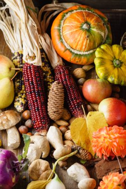 sonbaharda hasat, taze olgun sebze ve meyveler