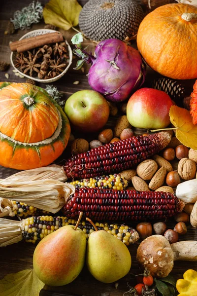 Récolte Automne Légumes Frais Mûrs Fruits — Photo