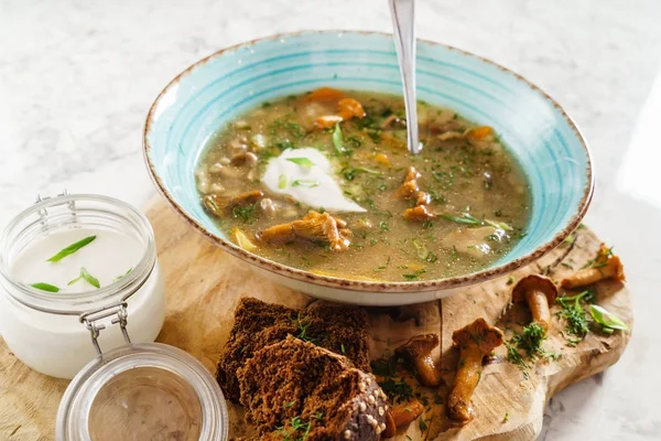 Mushroom Soup Sour Cream Close — Stock Photo, Image