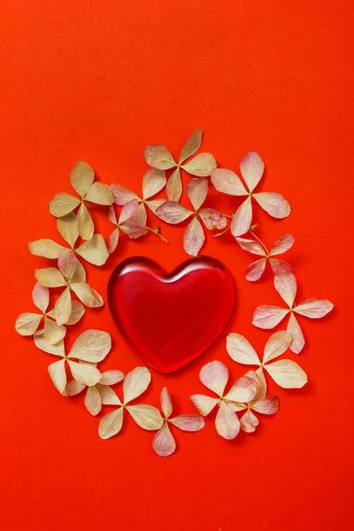 Serce Czerwony Walentynki Czerwonym Tle — Zdjęcie stockowe