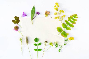 Beyaz arka plan üzerinde doğal çiçek kompozisyon