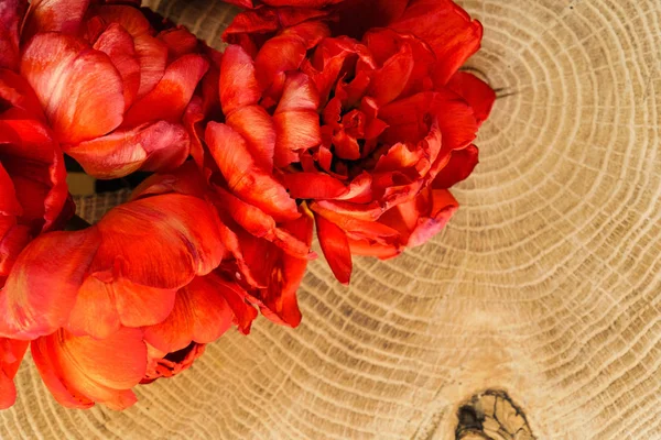 Tulipani Rossi Sullo Sfondo Legno Vicino — Foto Stock