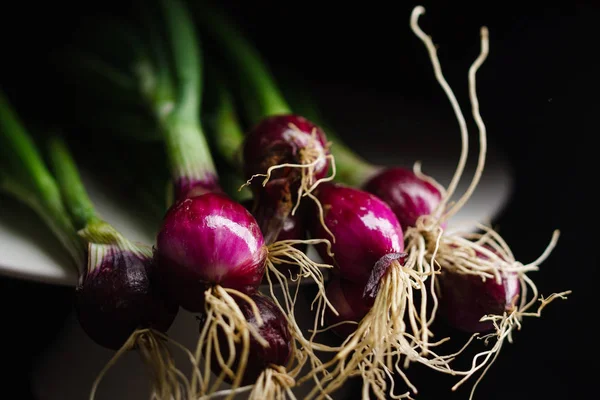 Bulbi Cipolla Primaverile Vicino — Foto Stock