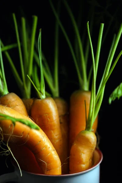 Carottes Fraîches Sur Noir Gros Plan — Photo