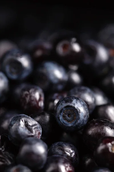 新鲜成熟的蓝莓 — 图库照片