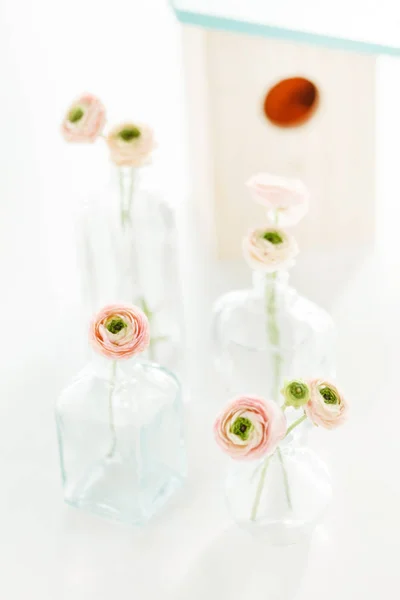 Ανοιξιάτικα Λουλούδια Διακόσμηση Κοντινό Πλάνο — Φωτογραφία Αρχείου