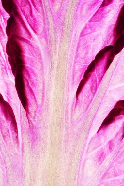 taze Çince lahana mor, yakın çekim