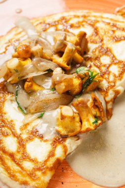 Cantharellus cibarius, taze omlet yakın çekim