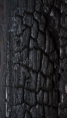 siyah ahşap doku yanmış, yakın çekim