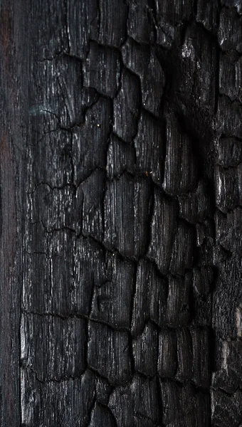 Чорна Дерев Яна Обпалена Текстура Крупним Планом — стокове фото