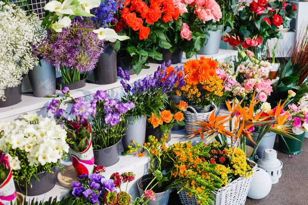 Frühlingsblumen Blumenladen Aus Nächster Nähe — Stockfoto