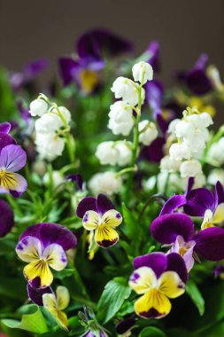parlak bahar buket cam vazo içinde sunulan yakın çekim