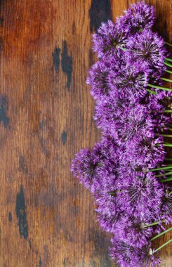 Mor çiçekler, yaklaşın.