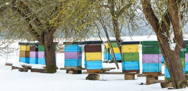 Colorful beehives with snowdrift outdoors clipart