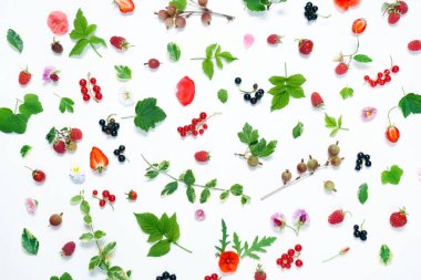 çiçek ve meyveleri ile yaz konsepti