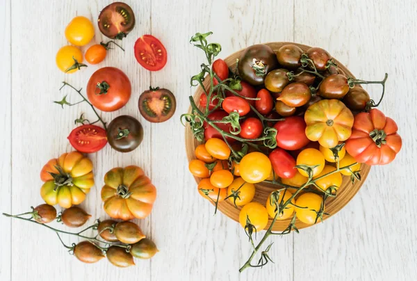 Tomates Coloridos Placa Close — Fotografia de Stock