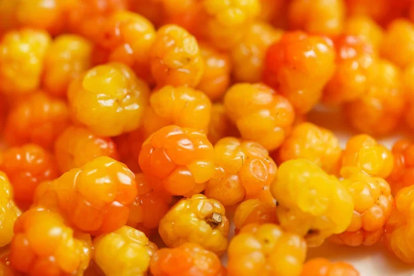 Fresh Ripe Cloudberries Close — Stock Photo, Image