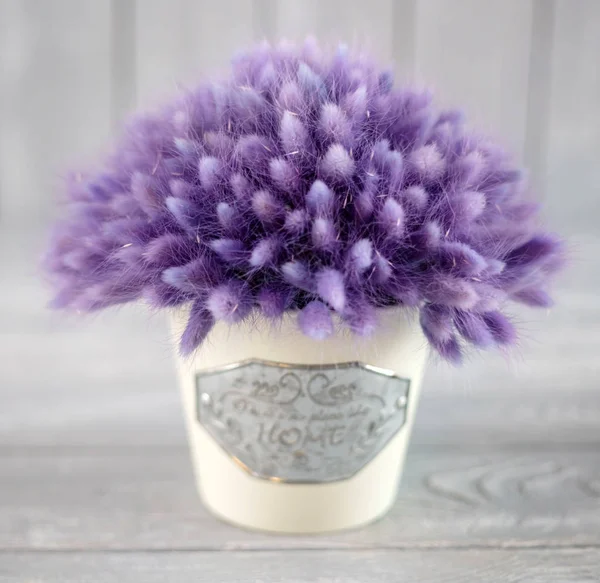 Nice Purple Flowers Close — Stock Photo, Image