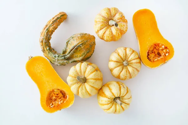 Calabazas Fondo Blanco Cerca — Foto de Stock