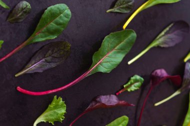 salata yaprakları bebeğim, kapat