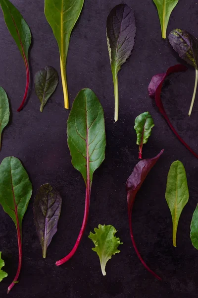 Ensalada Bebé Hojas Cerca — Foto de Stock