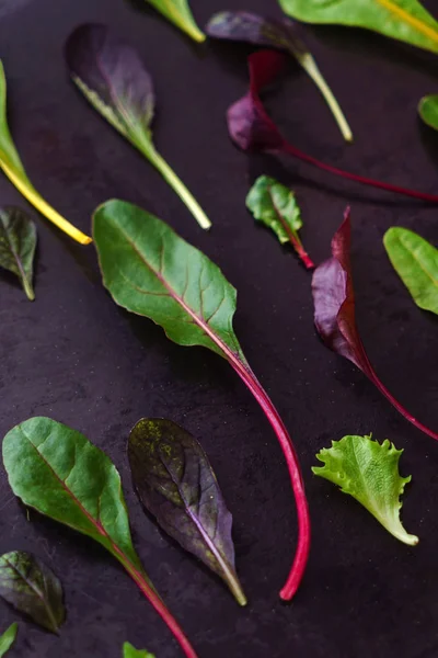 Ensalada Bebé Hojas Cerca — Foto de Stock