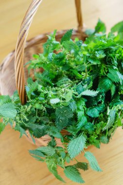 taze yeşil ısırgan sepet, yakın çekim