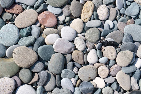 小石のビーチで石 クローズ アップ — ストック写真